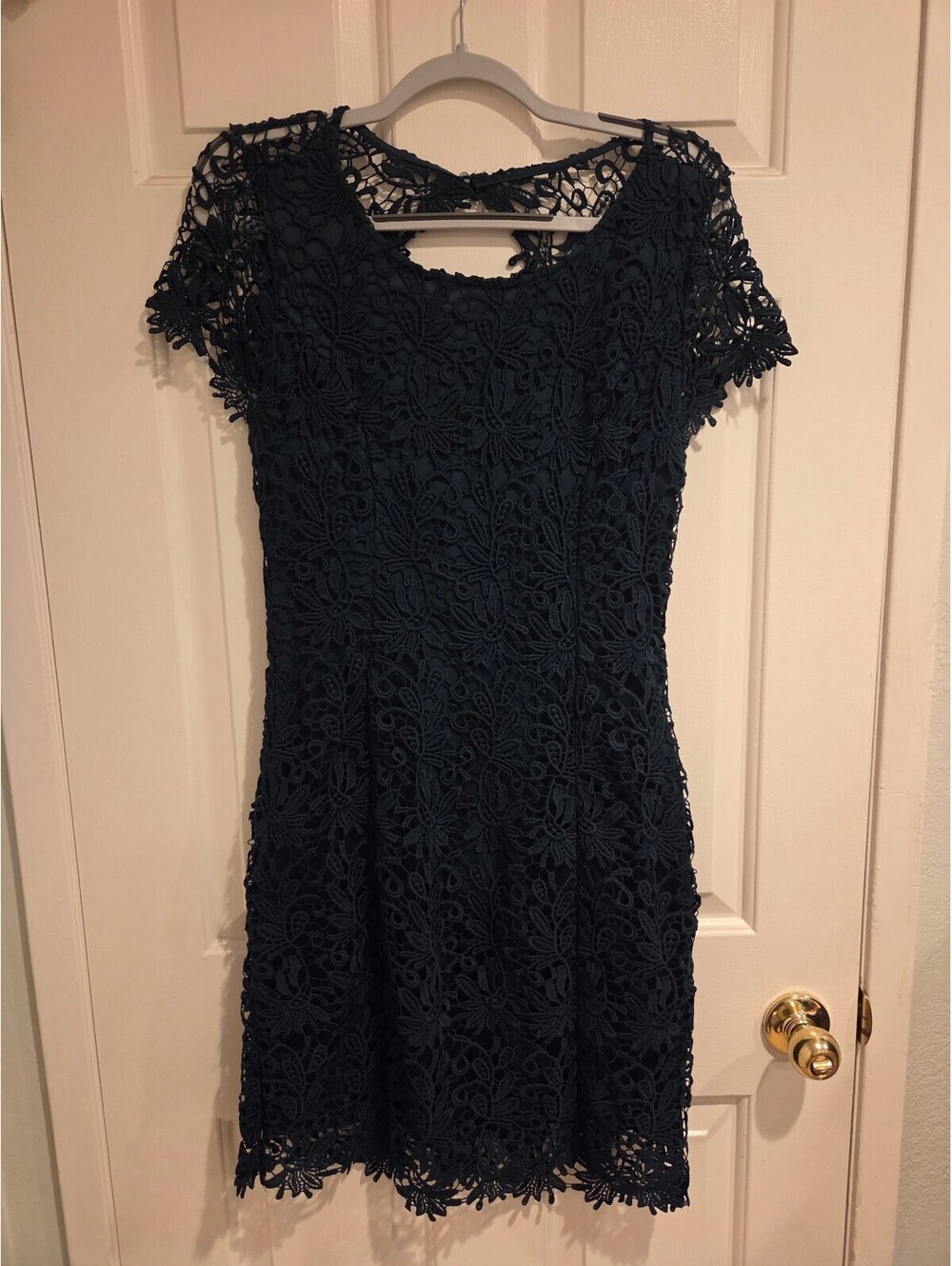 Xl Lulu's lace Dark green Lace Short Sleeve Dress with Scoop Back